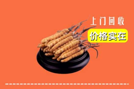 浦北县回收冬虫夏草